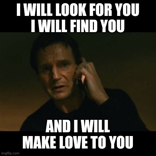Liam Neeson Taken Meme | I WILL LOOK FOR YOU
I WILL FIND YOU; AND I WILL MAKE LOVE TO YOU | image tagged in memes,liam neeson taken | made w/ Imgflip meme maker