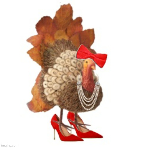 Girl Turkey | image tagged in comment section,comments,comment,turkeys,girl,turkey | made w/ Imgflip meme maker