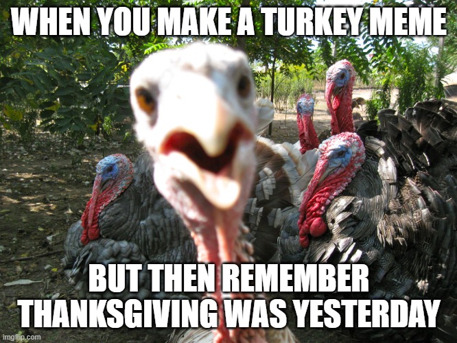 belated Thanksgiving meme | WHEN YOU MAKE A TURKEY MEME; BUT THEN REMEMBER THANKSGIVING WAS YESTERDAY | image tagged in turkeys | made w/ Imgflip meme maker