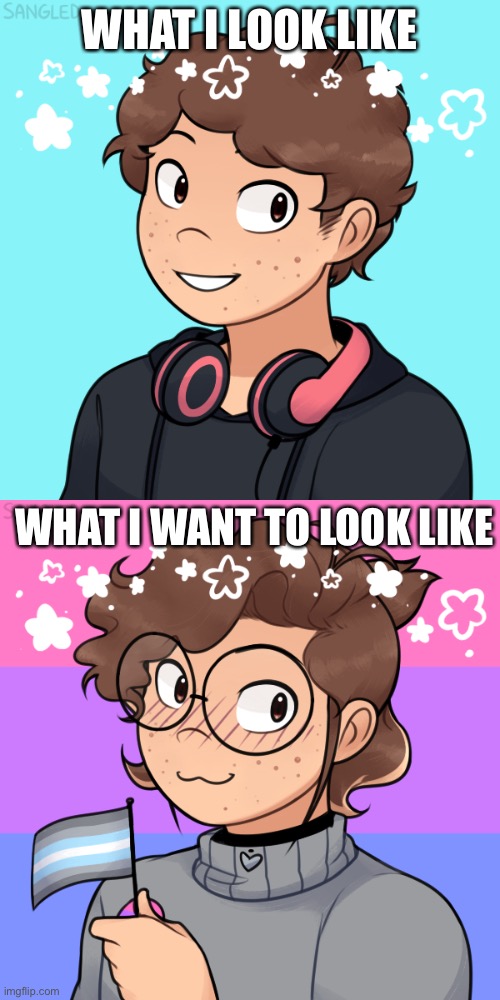 I’m a demiboy, but basically I want longer hair, and a small ponytail. | WHAT I LOOK LIKE; WHAT I WANT TO LOOK LIKE | image tagged in what i want to look like | made w/ Imgflip meme maker