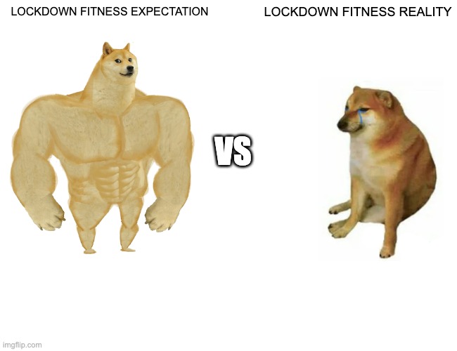 Buff Doge vs. Cheems | LOCKDOWN FITNESS EXPECTATION; LOCKDOWN FITNESS REALITY; VS | image tagged in memes,buff doge vs cheems | made w/ Imgflip meme maker