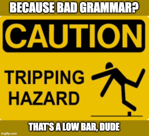 BECAUSE BAD GRAMMAR? THAT'S A LOW BAR, DUDE | made w/ Imgflip meme maker