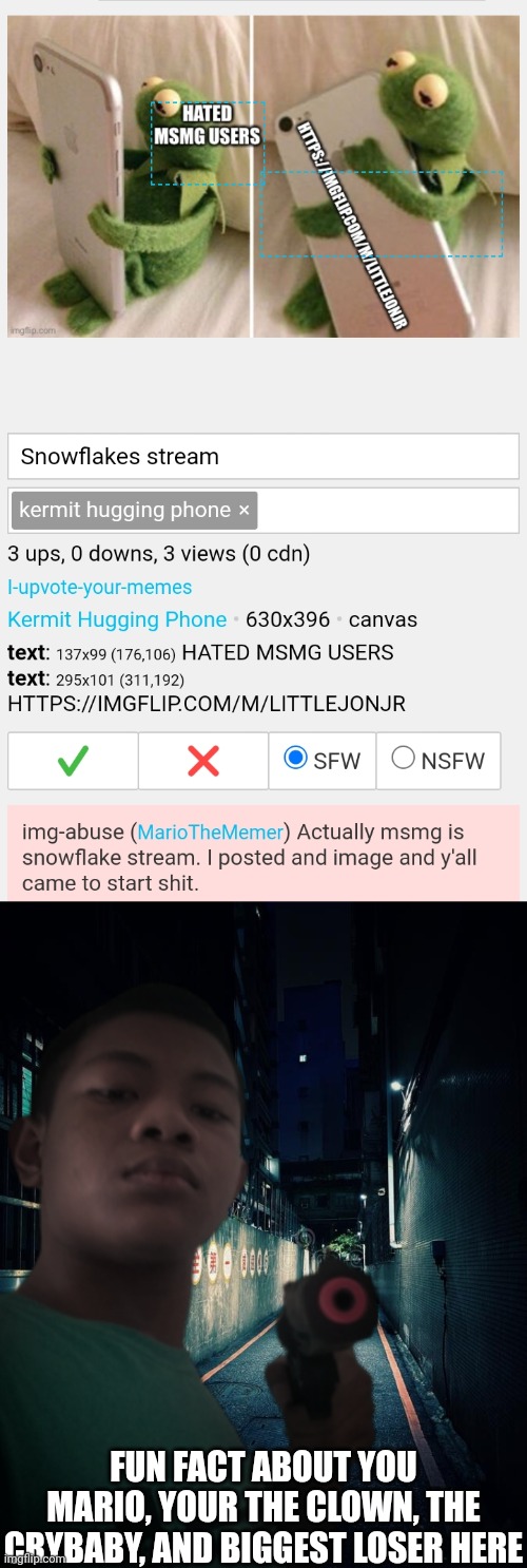 FUN FACT ABOUT YOU MARIO, YOUR THE CLOWN, THE CRYBABY, AND BIGGEST LOSER HERE | image tagged in me with a gun a little realistic edition | made w/ Imgflip meme maker