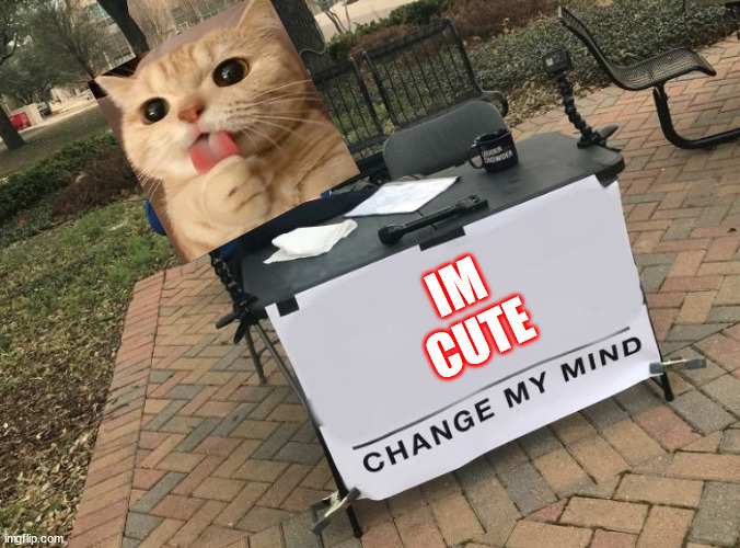 Change my mind Crowder | IM
CUTE | image tagged in change my mind crowder,cats | made w/ Imgflip meme maker