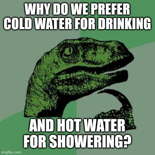 Humans be like | WHY DO WE PREFER COLD WATER FOR DRINKING; AND HOT WATER FOR SHOWERING? | image tagged in memes,philosoraptor,deep thoughts,funny,shower thoughts,the human body | made w/ Imgflip meme maker