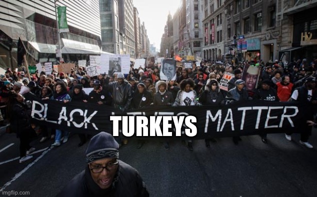 Black lives matter | TURKEYS | image tagged in black lives matter | made w/ Imgflip meme maker