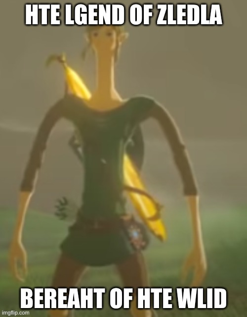 No that's not Slender-Link. This is a perfectly normal botw picture. | made w/ Imgflip meme maker