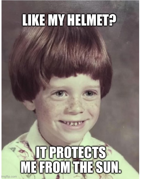 Ginger | LIKE MY HELMET? IT PROTECTS ME FROM THE SUN. | image tagged in ginger snap dale | made w/ Imgflip meme maker