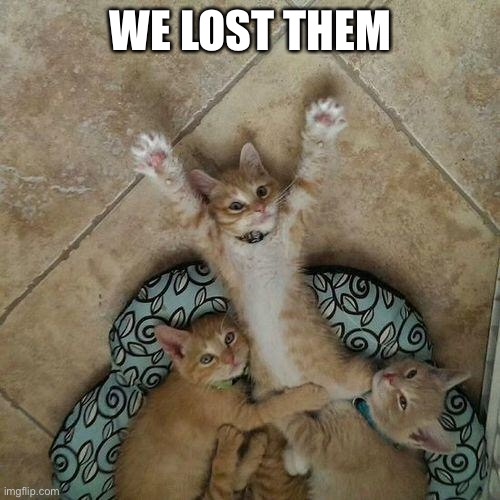 Mittens | WE LOST THEM | image tagged in 3 kittens,mittens,3 little kittens | made w/ Imgflip meme maker