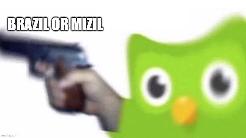 please help i need to learn brazil | BRAZIL OR MIZIL | image tagged in duolingo gun | made w/ Imgflip meme maker