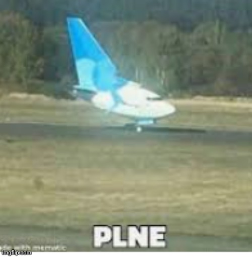 PLNE | image tagged in plne | made w/ Imgflip meme maker