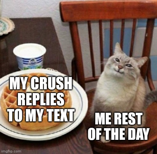 Cat likes their waffle | MY CRUSH REPLIES TO MY TEXT; ME REST OF THE DAY | image tagged in cat likes their waffle,relatable,funny | made w/ Imgflip meme maker
