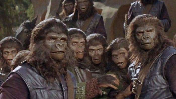 Planet of the apes Blank Meme Template