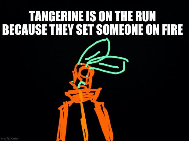 responding to je0ngshukles question: yes, the person got injured :) | TANGERINE IS ON THE RUN BECAUSE THEY SET SOMEONE ON FIRE | image tagged in black background | made w/ Imgflip meme maker