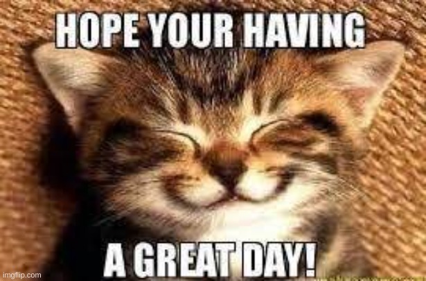 have a good day | image tagged in happy cat | made w/ Imgflip meme maker