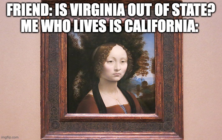 Its not just out of state, its across the country | FRIEND: IS VIRGINIA OUT OF STATE?
ME WHO LIVES IS CALIFORNIA: | image tagged in stupid people,van gogh,why,washington dc,california,america | made w/ Imgflip meme maker