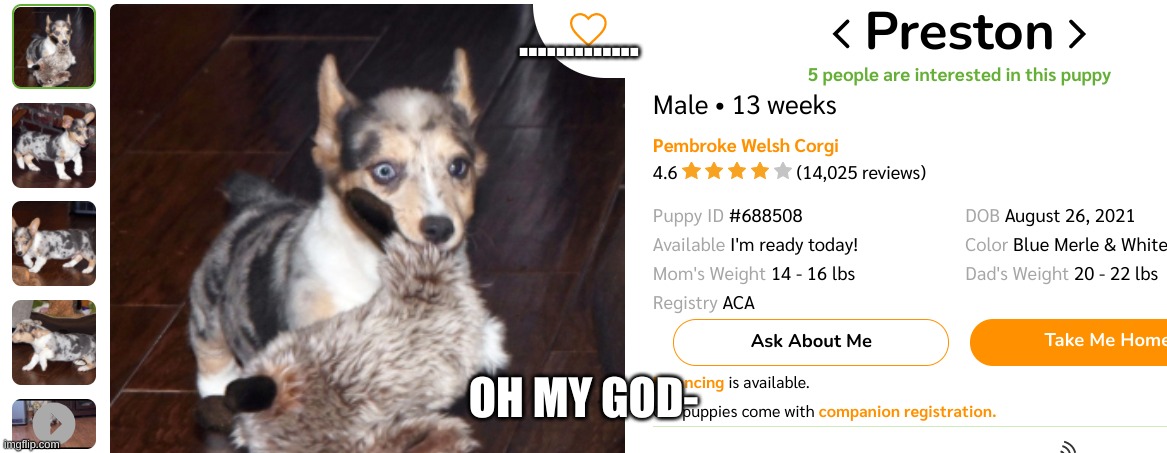 ............. OH MY GOD- | made w/ Imgflip meme maker