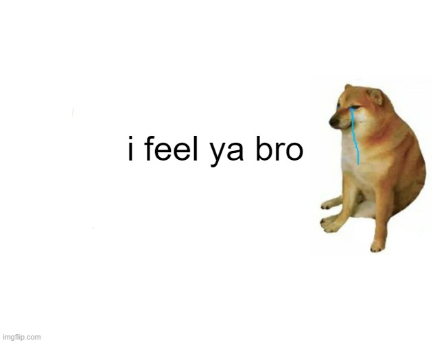 Buff Doge vs. Cheems Meme | i feel ya bro | image tagged in memes,buff doge vs cheems | made w/ Imgflip meme maker