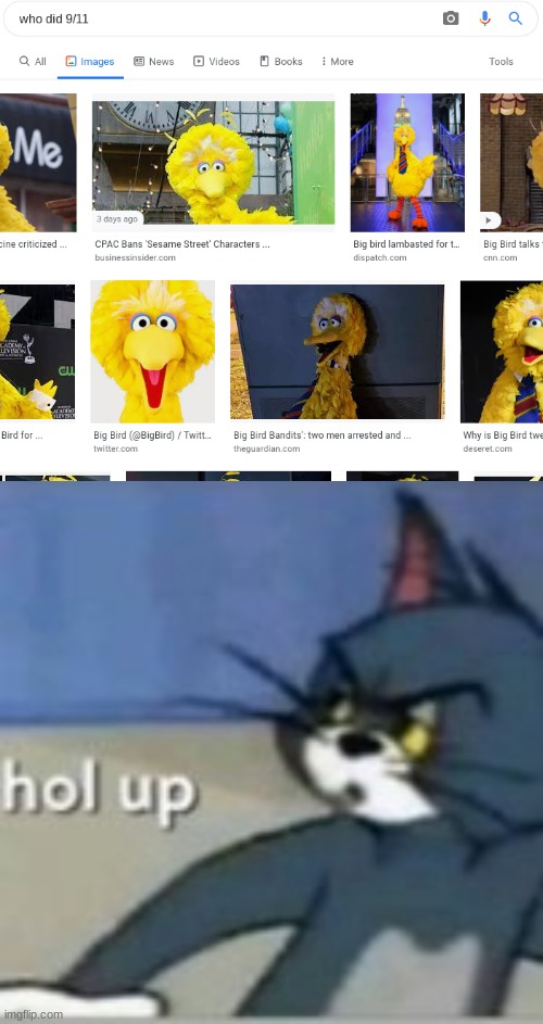 it was on google so must be true right? | image tagged in memes,big bird,9/11,google search,google images,google chrome | made w/ Imgflip meme maker