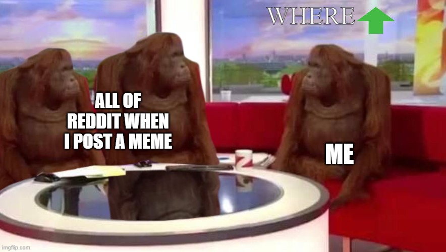 where monkey | WHERE; ALL OF REDDIT WHEN I POST A MEME; ME | image tagged in where monkey | made w/ Imgflip meme maker