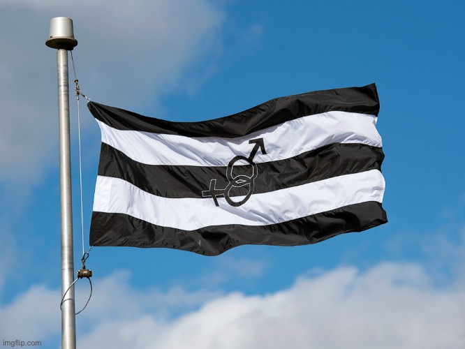 My sexuality now has a flag | made w/ Imgflip meme maker