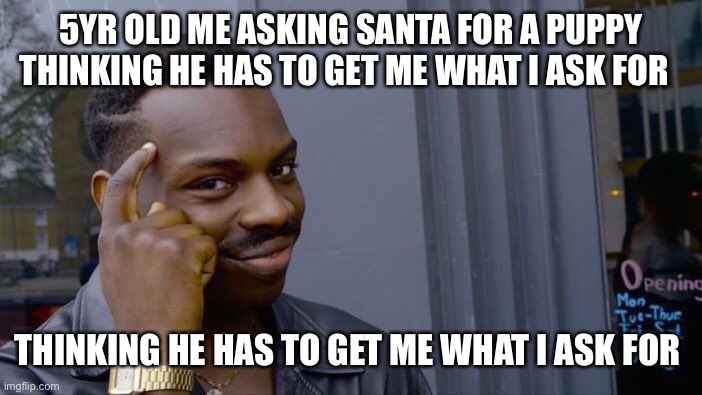 Roll Safe Think About It | 5YR OLD ME ASKING SANTA FOR A PUPPY THINKING HE HAS TO GET ME WHAT I ASK FOR; THINKING HE HAS TO GET ME WHAT I ASK FOR | image tagged in memes,roll safe think about it | made w/ Imgflip meme maker