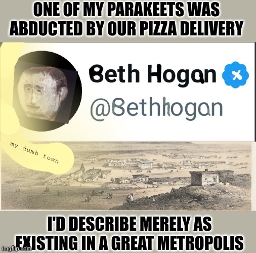 When really cool people put their foot in their mouth. | ONE OF MY PARAKEETS WAS ABDUCTED BY OUR PIZZA DELIVERY; I'D DESCRIBE MERELY AS EXISTING IN A GREAT METROPOLIS | image tagged in not seth rogen's twitter | made w/ Imgflip meme maker
