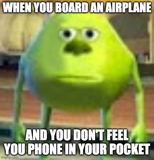 I lost my phone in Virginia ;_; | WHEN YOU BOARD AN AIRPLANE; AND YOU DON'T FEEL YOU PHONE IN YOUR POCKET | image tagged in sully wazowski,phone,airplane,oh god i have done it again,crying | made w/ Imgflip meme maker