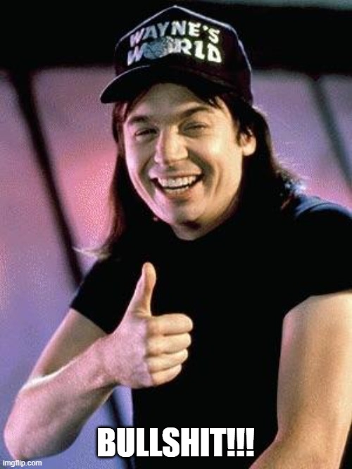 Wayne's world  | BULLSHIT!!! | image tagged in wayne's world | made w/ Imgflip meme maker