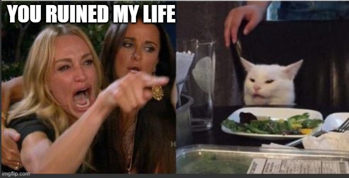 ? | YOU RUINED MY LIFE | image tagged in cats | made w/ Imgflip meme maker