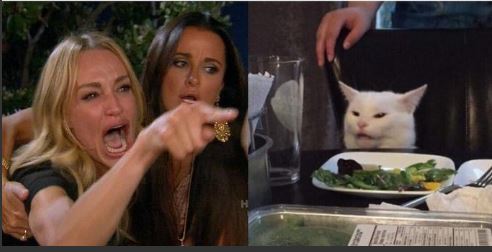 woman yelling at cat without white top Blank Meme Template