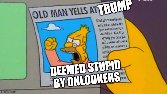 Old man yells at cloud | DEEMED STUPID BY ONLOOKERS TRUMP | image tagged in old man yells at cloud | made w/ Imgflip meme maker