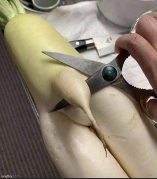 Poor radish | made w/ Imgflip meme maker