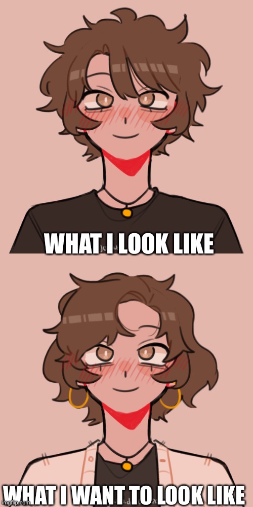 WHAT I LOOK LIKE WHAT I WANT TO LOOK LIKE | made w/ Imgflip meme maker