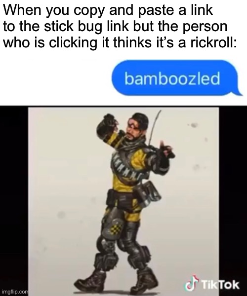 Before you say shit about the Tik tok logo, I stole this from reddit | When you copy and paste a link to the stick bug link but the person who is clicking it thinks it’s a rickroll: | made w/ Imgflip meme maker