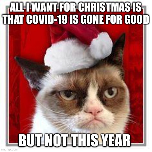 merry christmas | ALL I WANT FOR CHRISTMAS IS THAT COVID-19 IS GONE FOR GOOD; BUT NOT THIS YEAR | image tagged in merry christmas | made w/ Imgflip meme maker
