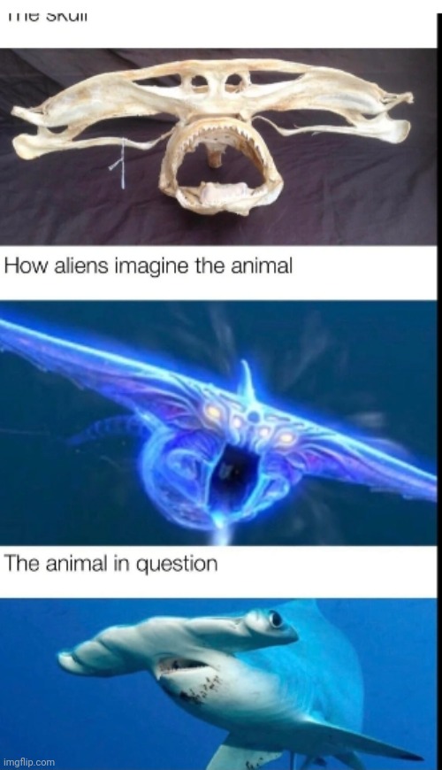 Subnautica soundtrack tho | made w/ Imgflip meme maker