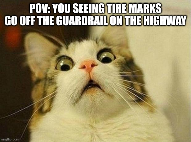 Off the guardrail moment | POV: YOU SEEING TIRE MARKS GO OFF THE GUARDRAIL ON THE HIGHWAY | image tagged in frightened cat | made w/ Imgflip meme maker