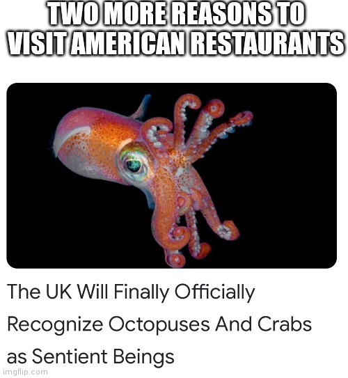 Cockroaches are next | TWO MORE REASONS TO VISIT AMERICAN RESTAURANTS | image tagged in stupid liberals | made w/ Imgflip meme maker