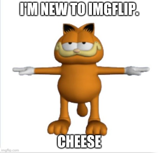 Cheese | I'M NEW TO IMGFLIP. CHEESE | image tagged in garfield t-pose | made w/ Imgflip meme maker