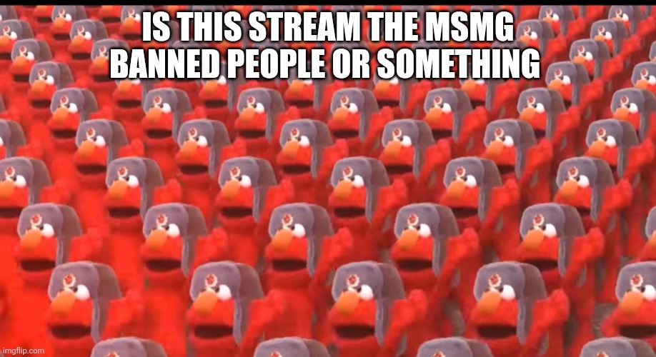 Idk | IS THIS STREAM THE MSMG BANNED PEOPLE OR SOMETHING | image tagged in communist elmo | made w/ Imgflip meme maker