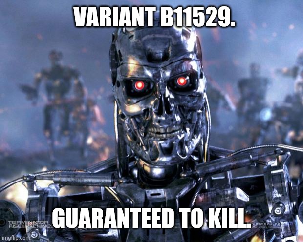 That new variant. | VARIANT B11529. GUARANTEED TO KILL. | image tagged in terminator robot t-800 | made w/ Imgflip meme maker
