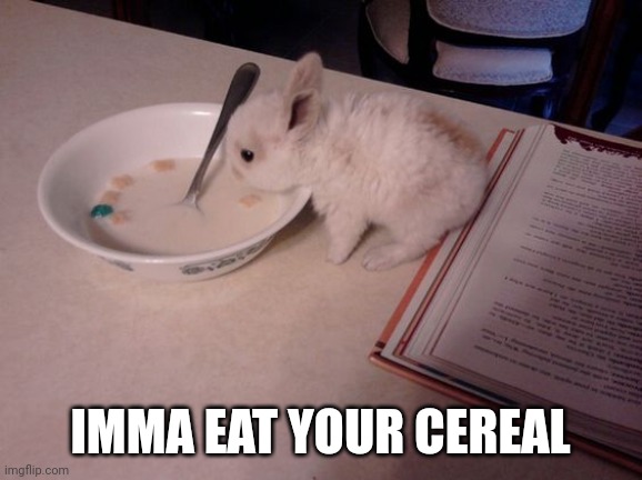 DON'T LET THE BUNNY EAT YOUR BREAKFAST | IMMA EAT YOUR CEREAL | image tagged in bunny,rabbit | made w/ Imgflip meme maker