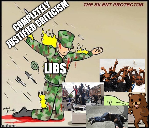 the silent protector | COMPLETELY JUSTIFIED CRITICISM; LIBS | image tagged in the silent protector | made w/ Imgflip meme maker
