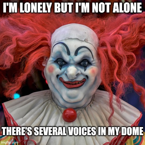 INSANE |  I'M LONELY BUT I'M NOT ALONE; THERE'S SEVERAL VOICES IN MY DOME | image tagged in clowns,evil clown,icp,insane clown posse | made w/ Imgflip meme maker