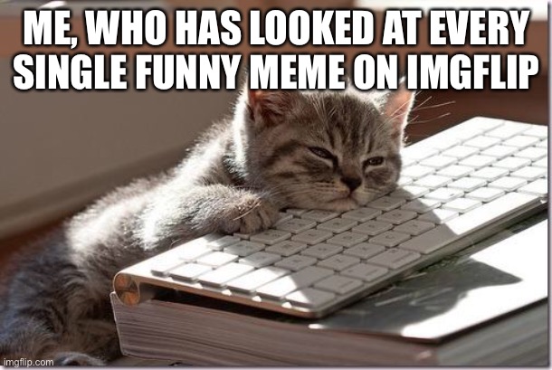 relatable anyone? |  ME, WHO HAS LOOKED AT EVERY SINGLE FUNNY MEME ON IMGFLIP | image tagged in bored keyboard cat | made w/ Imgflip meme maker