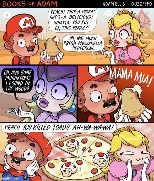 A GOOD USE FOR TOAD | image tagged in super mario bros,princess peach,super mario,comics/cartoons | made w/ Imgflip meme maker