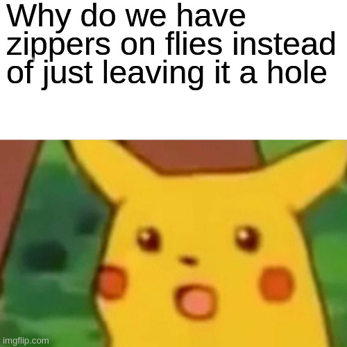 Sometimes it is easier to leave it as it is | Why do we have zippers on flies instead of just leaving it a hole | image tagged in memes,surprised pikachu,hole | made w/ Imgflip meme maker