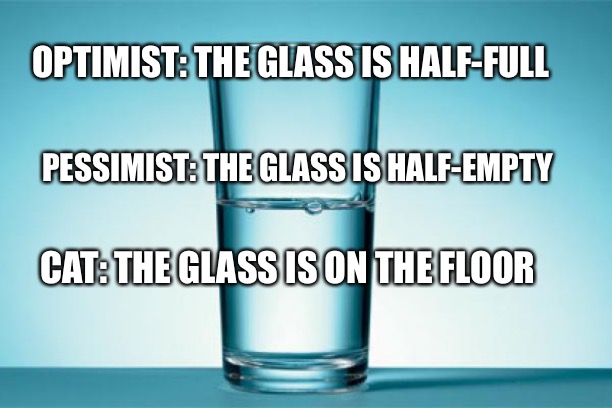 GLASS HALF FULL/EMPTY | OPTIMIST: THE GLASS IS HALF-FULL; PESSIMIST: THE GLASS IS HALF-EMPTY; CAT: THE GLASS IS ON THE FLOOR | image tagged in glass half full/empty | made w/ Imgflip meme maker