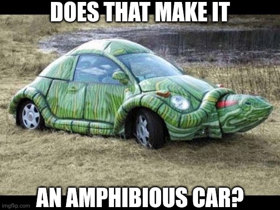 I BETTER BE ABLE TO GO INTO THE WATER WITH THAT | DOES THAT MAKE IT; AN AMPHIBIOUS CAR? | image tagged in cars,strange cars,turtle | made w/ Imgflip meme maker